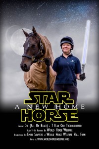 Obi Star Horse Mock Poster