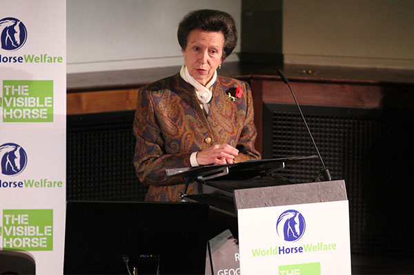 Speakers at World Horse Welfare Conference 2016 call on everyone to play their part